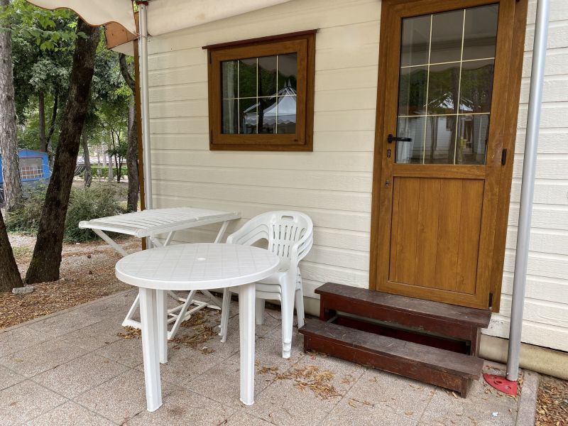 White Vinyl Siding Replacement